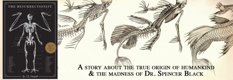 Book Banner 1